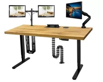 Lite drewno - Biurko elektryczne PREMIUM Ergonome 160x80 Dąb Jesion 100kg - Inny producent