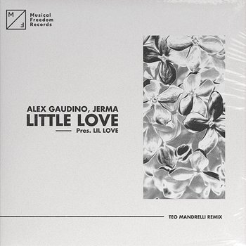 Little Love (pres. Lil' Love) - Alex Gaudino, Jerma