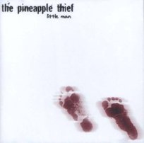 Little Man The Pineapple Thief