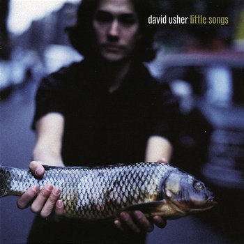 Little Songs - David Usher