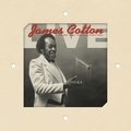 Live at Antone's Nightclub - James Cotton