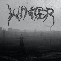 Live In Brooklyn Winter