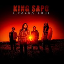 Llegado aquí KING SAPO
