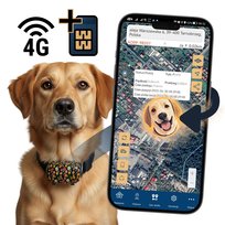LOKALIZATOR GPS 4G PSA KOTA BEZ ABONAMENTU UCHWYT DŁUGI CZAS PRACY