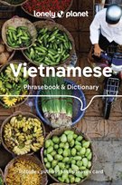 Lonely Planet Vietnamese Phrasebook & Dictionary Opracowanie zbiorowe
