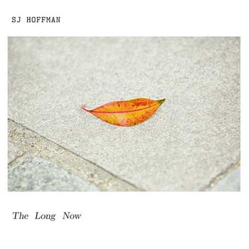 Long Now, płyta winylowa - Sj Hoffman