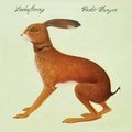 Lookaftering Vashti Bunyan