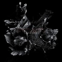 Love And Decay Spotlights