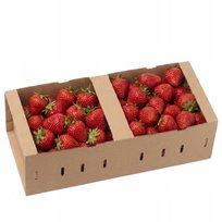 ŁUBIANKA Kobiałka tekturowa KARTON na owoce pojemnik 1 kg 100 sztuk EKO Inna marka