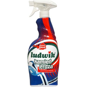 Ludwik Płyn Do Czyszczenia Kamienia I Rdzy 750 ml - Ludwik