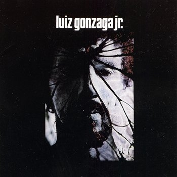 Luiz Gonzaga Jr. - Gonzaguinha