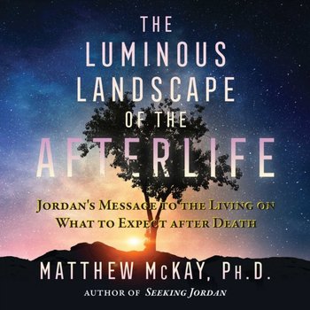 Luminous Landscape of the Afterlife - audiobook - Mckay Matthew