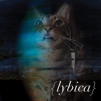 Lybica Lybica