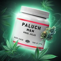 M&M Julas, Paluch