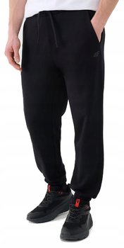 M��skie spodnie dresowe 4F TROM1139 20S XL - 4F