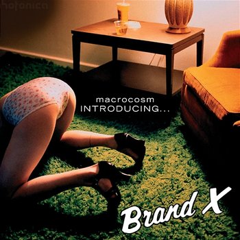 Macrocosm - Introducing... Brand X - Brand X