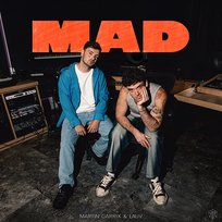 MAD Martin Garrix, Lauv