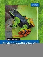 Madagaskar-Buntfrösche Altenmuller Andreas