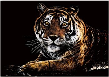 Magiczna Zdrapka Tiger - Twoje Hobby