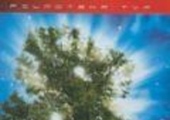 Emmy dla polskiego serialu