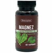 Magnez 4 Formy Magnezu + B6 60 Kapsułek Skoczylas