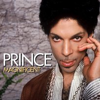 Magnificent Prince