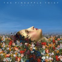 Magnolia The Pineapple Thief