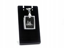 Maine Coon Kryształowy naszyjnik z kotem grawer