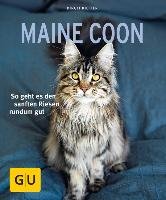 Maine Coon Kieffer Birgit