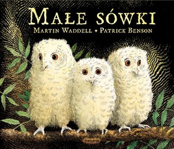 Małe sówki - Waddell Martin