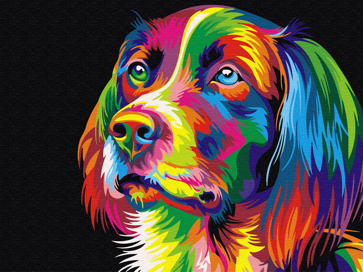 Zdjęcia - Rysowanie Hobby Malowanie po numerach 30x40 Tęczowy pies / Twoje 
