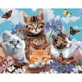 Malowanie po numerach 4 kotki z motylami 40 x 50cm 6374 - Norimpex