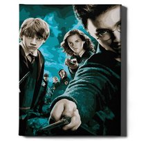 Malowanie po numerach, 40x50 cm - Harry Potter i inni | Oh Art!
