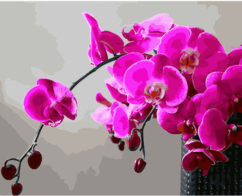 Malowanie po numerach, 40x50 cm - Różowa orchidea - Varmacon
