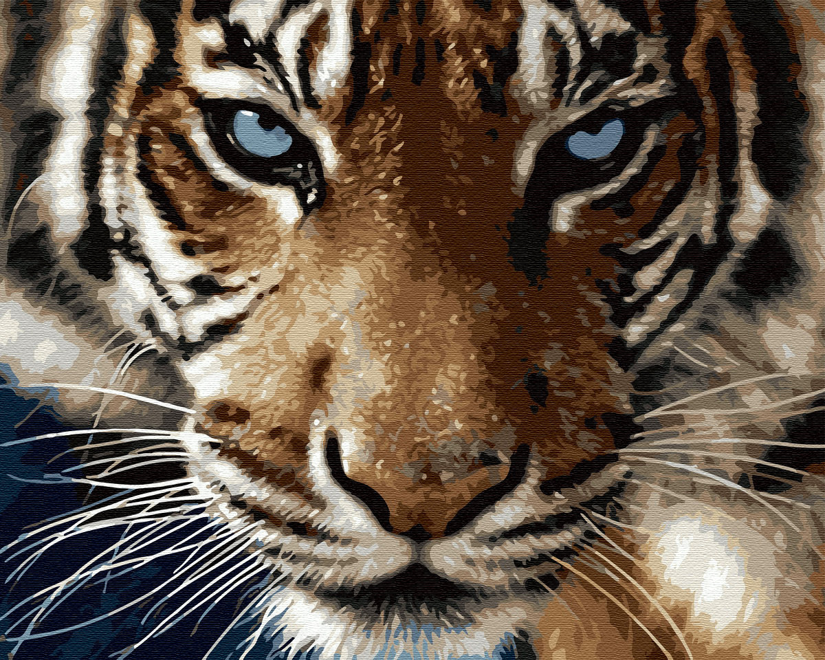 Zdjęcia - Rysowanie Hobby Malowanie po numerach 40x50cm Tygrys / Twoje 