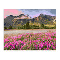 Malowanie Po Numerach - Kolorowy pejzaż 50 x 40 cm - nerd hunters