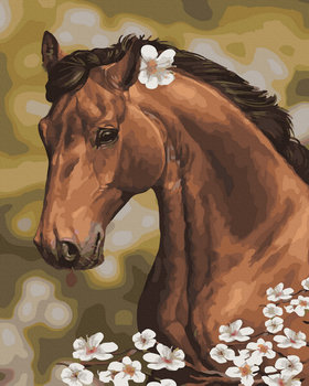 Malowanie Po Numerach Koń Z Rumiankiem - Twoje Hobby