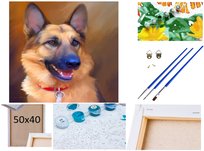 Malowanie po numerach Obraz Rama Płótno ZESTAW 5w1 PIES psy OWCZAREK NIEMIECKI