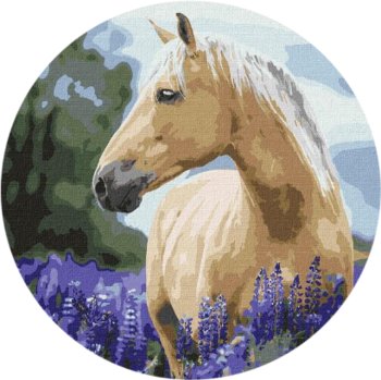 malowanie po numerach owalne koń w lawendzie - Twoje Hobby