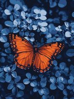 Malowanie po numerach - Światło wśród ciemności