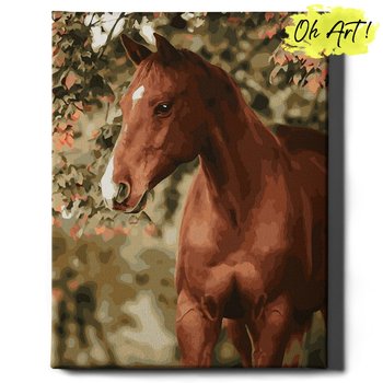 Malowanie Po Numerach z Ramą 40x50cm Koń w ogrodzie – Kreatywny Obraz do Malowania po numerach Zwierzęta – Oh Art! - Oh Art!