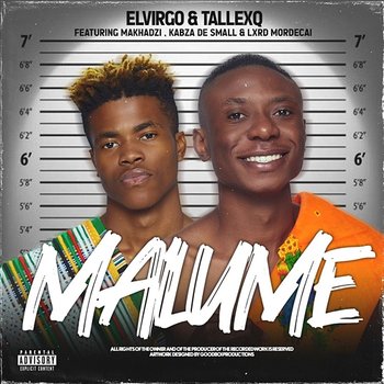 Malume - Elvirgo & TallexQ feat. Kabza De Small, Lxrd Mordecai, Makhadzi
