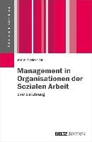 Management In Organisationen Der Sozialen Arbeit - Merchel Joachim ...