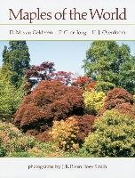 Maples of the World Jong P. C., Oterdoom H. J., Gelderen D. M.