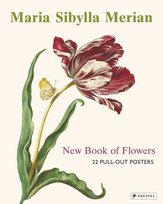 Maria Sibylla Merian Christiansen Stella