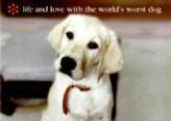 Owen, Aniston i... labrador