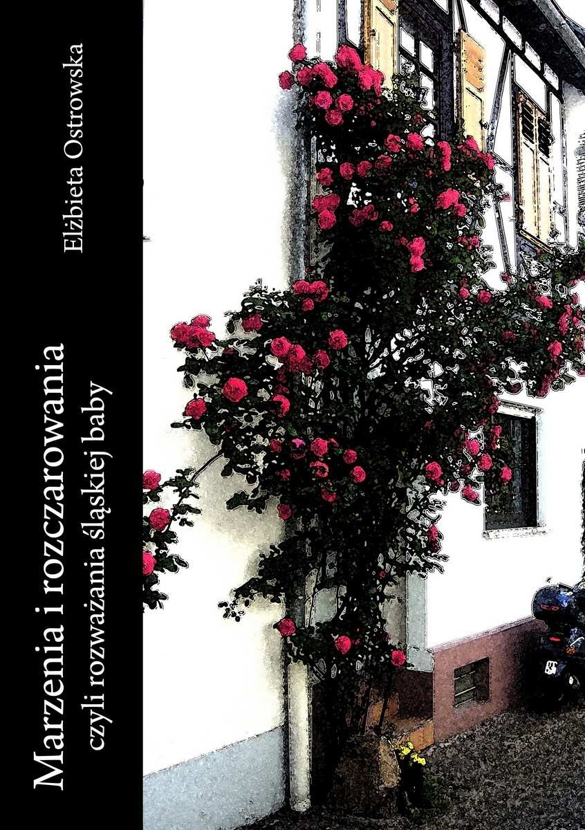 Marzenia i rozczarowania czyli rozważania śląskiej baby - ebook mobi
