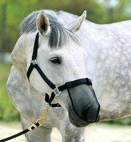 Maska na nos York przeciwko owadom Pony York