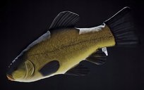 Maskotka Poduszka Ryba Lin - 60cm
