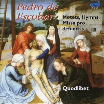 Masses & Motets - Various Artists